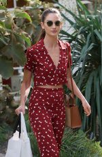 LILY ALDRIDGE Out Sshopping in West Hollywood 01/24/2018