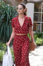 LILY ALDRIDGE Out Sshopping in West Hollywood 01/24/2018