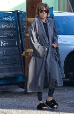 LISA RINNA and Harry Hamlin Out for Brakfast in Studio City 12/31/2017