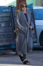 LISA RINNA and Harry Hamlin Out for Brakfast in Studio City 12/31/2017