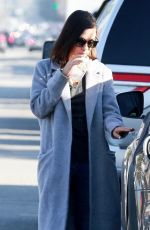 MILA KUNIS Out and About in Sherman Oaks 01/11/2018