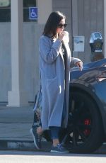 MILA KUNIS Out and About in Sherman Oaks 01/11/2018