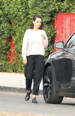 MILA KUNIS Out in Los Angeles 01/04/2018