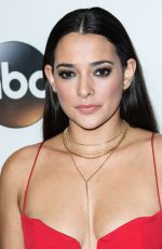 NATALIE MARTINEZ at ABC All-star Party at TCA Winter Press Tour in Los Angeles 01/08/2018