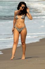 NATASHA BLASICK in Bikini on the Beach in Malibu 01/25/2018