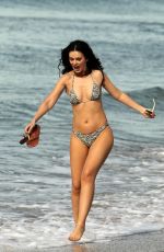 NATASHA BLASICK in Bikini on the Beach in Malibu 01/25/2018
