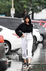 OLIVIA CULPO Out Shopping for Groceries in Los Angeles 01/09/2018