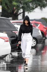 OLIVIA CULPO Out Shopping for Groceries in Los Angeles 01/09/2018