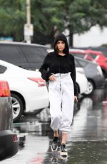 OLIVIA CULPO Out Shopping for Groceries in Los Angeles 01/09/2018
