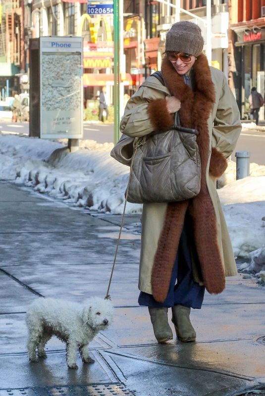 PARKER POSEY Walks Her Dog Out in New York 01/09/2018