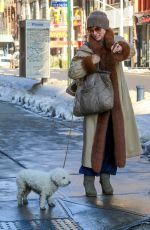 PARKER POSEY Walks Her Dog Out in New York 01/09/2018
