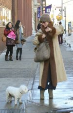 PARKER POSEY Walks Her Dog Out in New York 01/09/2018