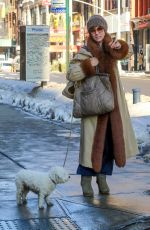 PARKER POSEY Walks Her Dog Out in New York 01/09/2018
