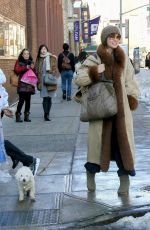 PARKER POSEY Walks Her Dog Out in New York 01/09/2018