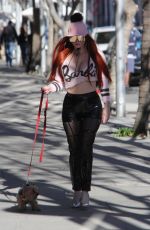 PHOEBE PRICE Out with Her Dog in Beverly Hills 01/25/2018