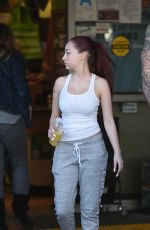 SANIELLE BREGOLI at Grocery Shopping in Los Angeles 01/29/2018