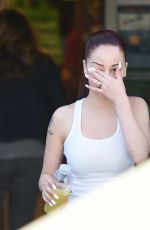 SANIELLE BREGOLI at Grocery Shopping in Los Angeles 01/29/2018