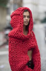 SARA SAMPAIO Out and About in Paris 01/23/2018