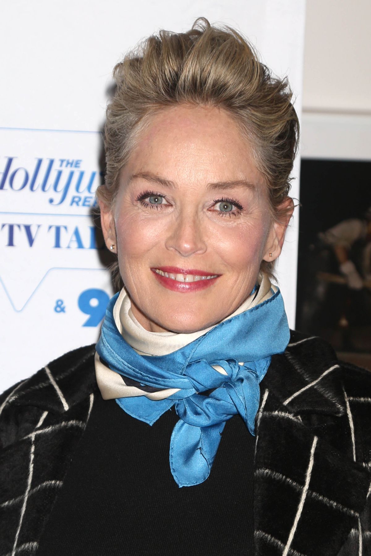 SHARON STONE at 92 Ttreet Y Hosts Screening of Mosaic in New York 01/16 ...