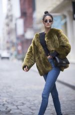 SOFIA RESING Out and About in New York 01/16/2018
