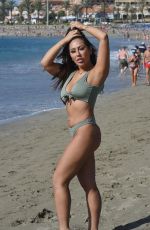 SOPHIE KASAAEI in Bikini on the Beach in Turkey 01/09/2018