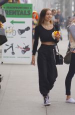 SOPHIE MUDD Out Shopping in Venice Beach 01/10/2018