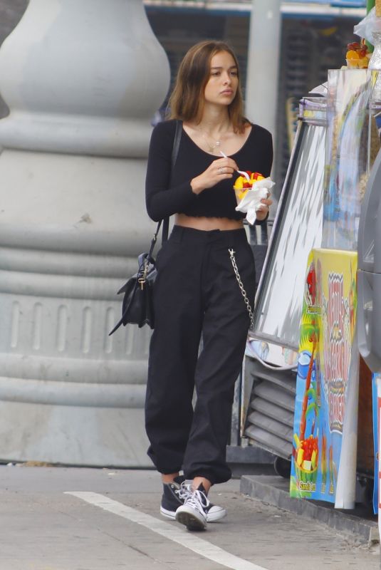 SOPHIE MUDD Out Shopping in Venice Beach 01/10/2018