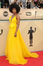 SYDELLE NOEL at Screen Actors Guild Awards 2018 in Los Angeles 01/21/2018