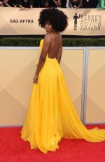 SYDELLE NOEL at Screen Actors Guild Awards 2018 in Los Angeles 01/21/2018