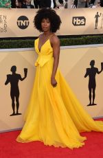 SYDELLE NOEL at Screen Actors Guild Awards 2018 in Los Angeles 01/21/2018