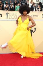 SYDELLE NOEL at Screen Actors Guild Awards 2018 in Los Angeles 01/21/2018