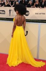 SYDELLE NOEL at Screen Actors Guild Awards 2018 in Los Angeles 01/21/2018