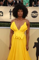 SYDELLE NOEL at Screen Actors Guild Awards 2018 in Los Angeles 01/21/2018