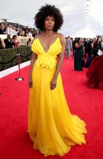 SYDELLE NOEL at Screen Actors Guild Awards 2018 in Los Angeles 01/21/2018