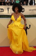 SYDELLE NOEL at Screen Actors Guild Awards 2018 in Los Angeles 01/21/2018