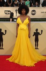 SYDELLE NOEL at Screen Actors Guild Awards 2018 in Los Angeles 01/21/2018