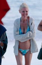 TARA REID in Bikini at a Beach in Tulum 01/04/2018