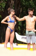 TAYLOR HILL in Bikini at a Beach in Hawaii 01/02/2018