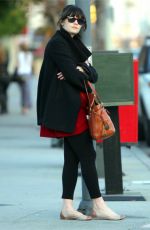 ZOOEY DESCHANEL Out and About in Los Angeles 01/26/2018