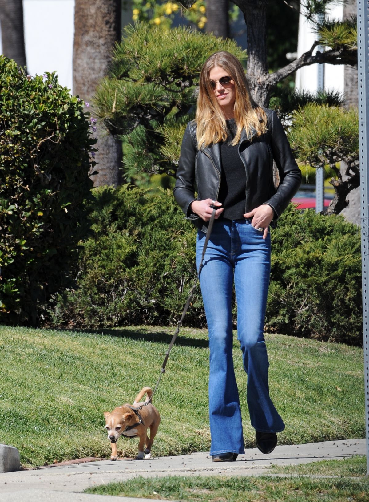 ADRIANNE PALICKI Out with Her Dog in Los Angeles 02/223/2018 – HawtCelebs