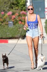 AISLEYNE HORGAN WALLACE in Denik Shorts Out with Her Dogs in Los Angeles 02/09/2018