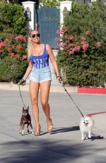AISLEYNE HORGAN WALLACE in Denik Shorts Out with Her Dogs in Los Angeles 02/09/2018