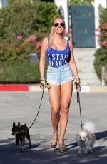AISLEYNE HORGAN WALLACE in Denik Shorts Out with Her Dogs in Los Angeles 02/09/2018