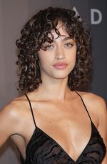 ALANNA ARRINGTON at Amfar Gala 2018 in New York 02/07/2018