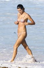 ALESSANDRA AMBROSIO in Bikini at a Beach in Bahamas 02/12/2018