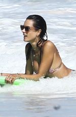 ALESSANDRA AMBROSIO in Bikini at a Beach in Bahamas 02/12/2018