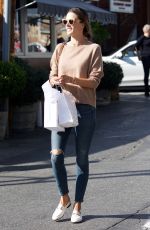 ALESSANDRA AMBROSIO Out Shopping in Los Angeles 02/01/2018