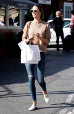 ALESSANDRA AMBROSIO Out Shopping in Los Angeles 02/01/2018