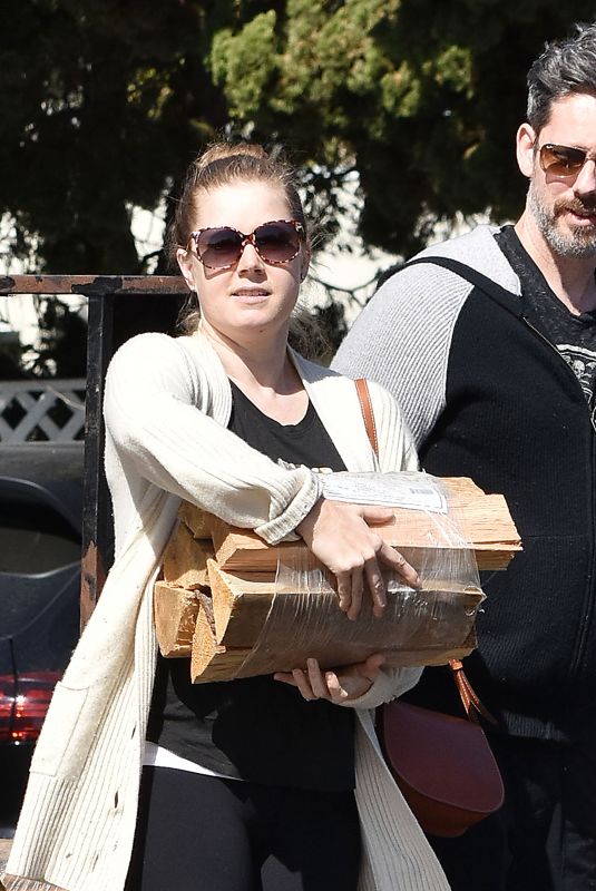 AMY ADAMS and Darren Le Gallo Out in Los Angeles 02/26/2018