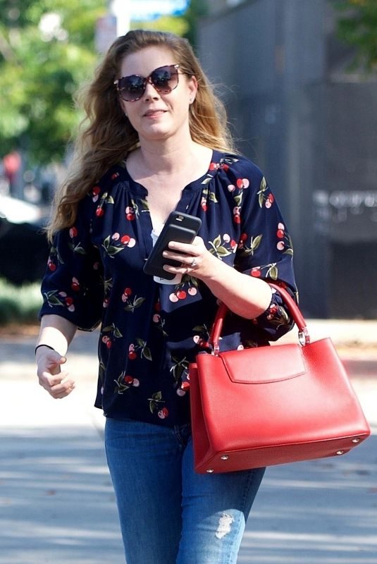 AMY ADAMS Out and About in West Hollywood 02/02/2018